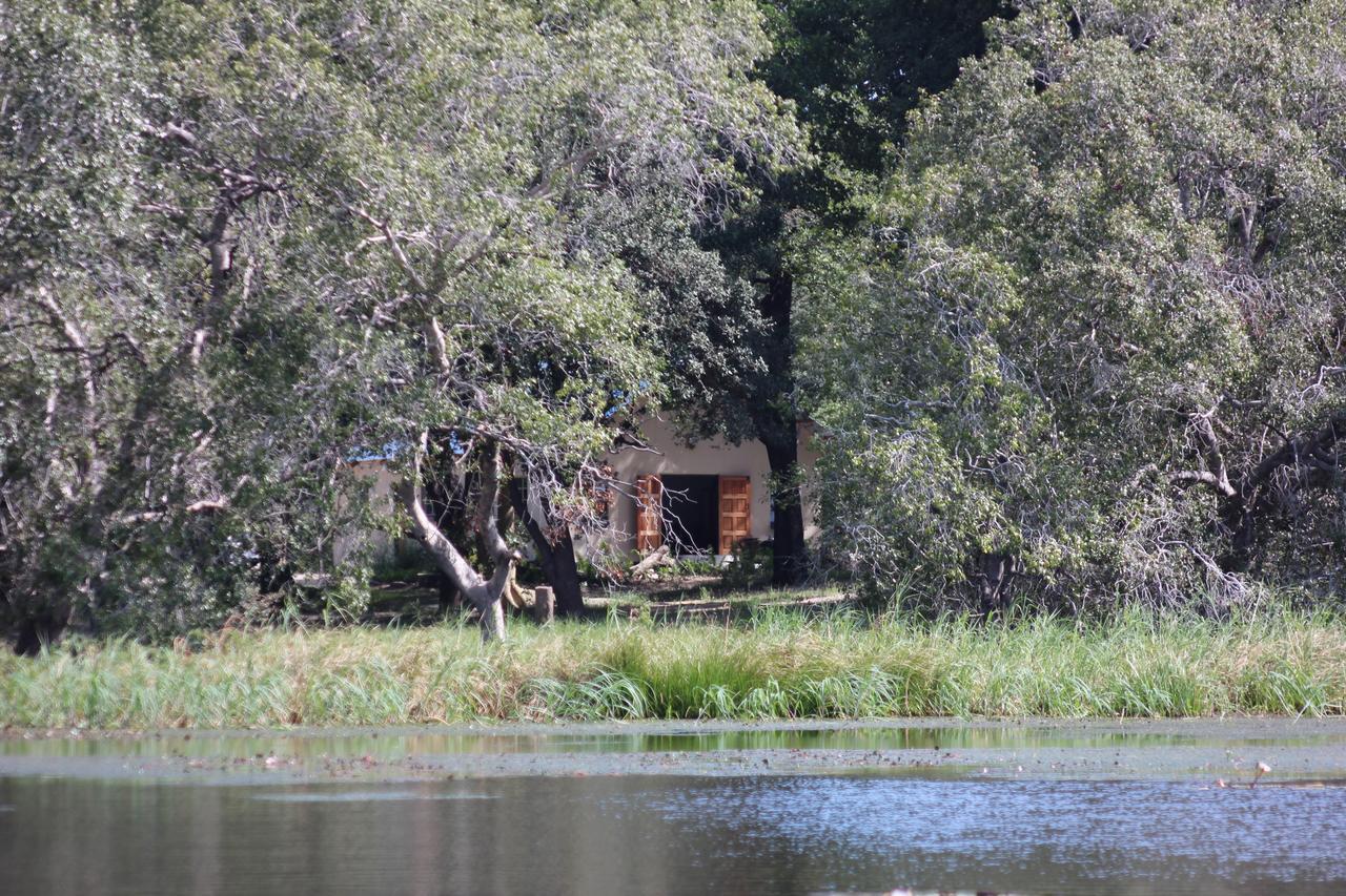 Caprivi Mutoya Lodge And Campsite カティマ・ムリロ エクステリア 写真